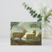 Stag und Hinter einer bewaldeten Landschaft Postkarte (Stehend Vorderseite)