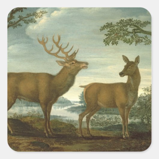 Stag und Hinter einer bewaldeten Landschaft Quadratischer Aufkleber (Vorderseite)