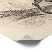 STAG (WAPITI) DRUCKEN POSTER (Ecke)