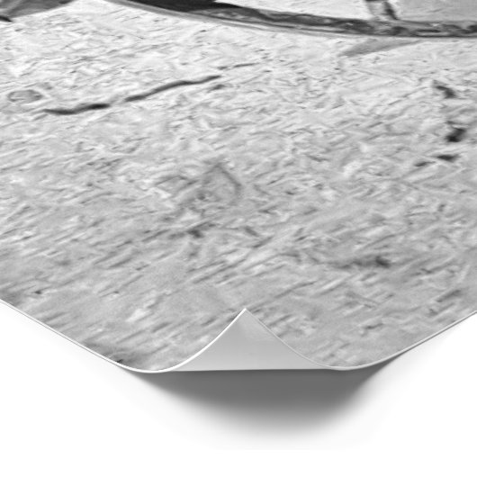 STAGECOACH 1889 POSTER (Ecke)