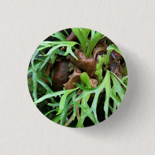 Staghorn Farn-Knopf Button