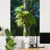 Staghorn Fern Poster (Heimbüro)