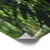 Staghorn Fern Poster (Ecke)