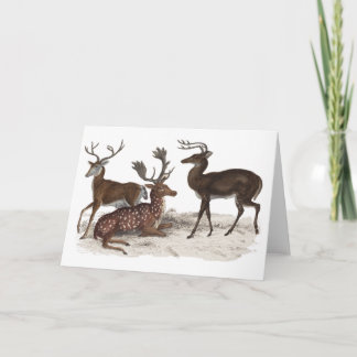 STAGS BLANK CARD DANKESKARTE