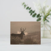 Stags Post Card Postkarte (Stehend Vorderseite)