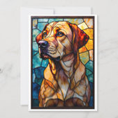 Stained Glass Style Animal Rescue Organization Dankeskarte (Vorderseite)