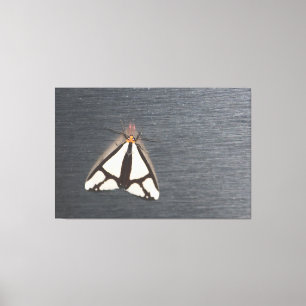 Stainless Steel Look Art Leinwanddruck
