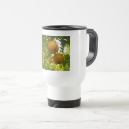 Stainless Steel Travel/Commuter Tasse, 15 oz Reisebecher