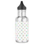 Stainless steel water bottle with a black cap  edelstahlflasche (Links)