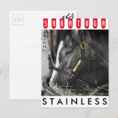 Stainless von Flatter Postkarte (Vorne/Hinten)