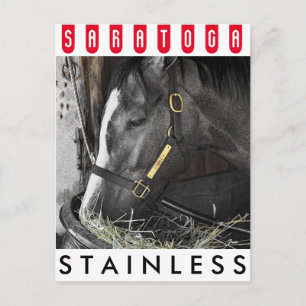 Stainless von Flatter Postkarte