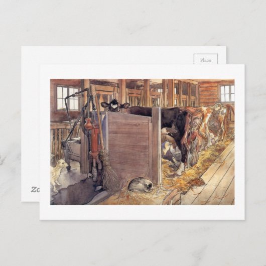 Stald oder Stable 1904 Postkarte (Vorne/Hinten)
