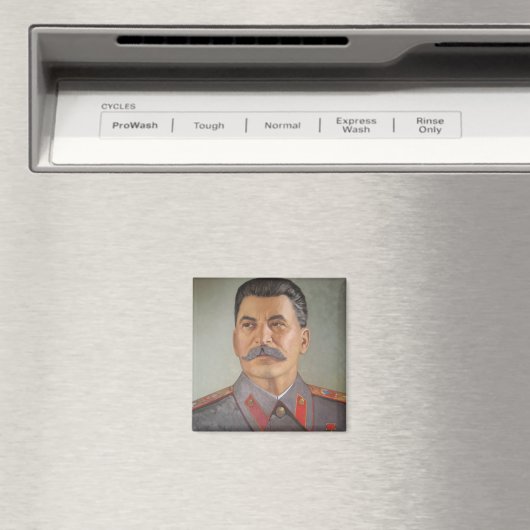 Stalin Magnet (In Situ (Geschirrspüler))