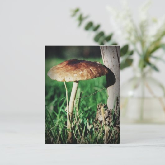 Stalk Postkarte (Stehend Vorderseite)