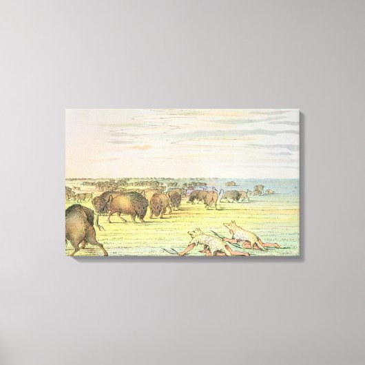 Stalking-Büffel Leinwanddruck (Vorderseite)