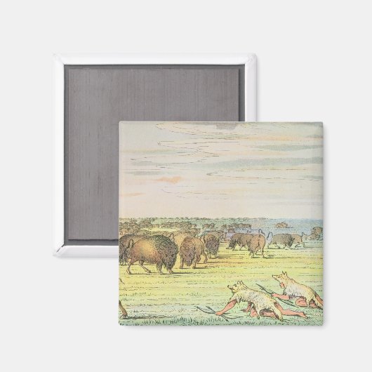 Stalking-Büffel Magnet (Vorderseite/Rückseite)