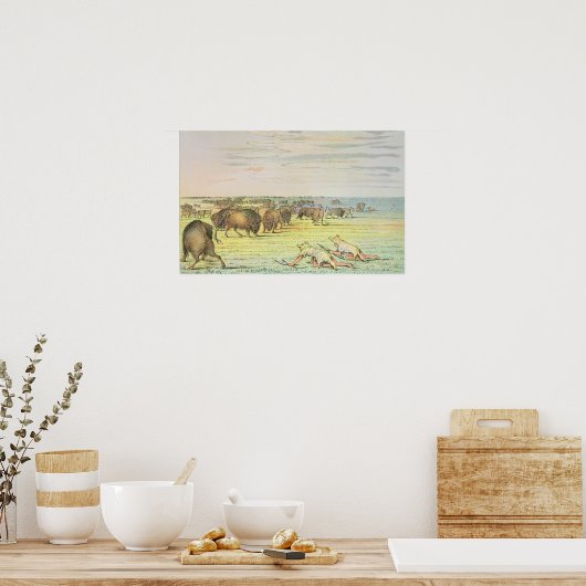 Stalking-Büffel Poster (Küche)