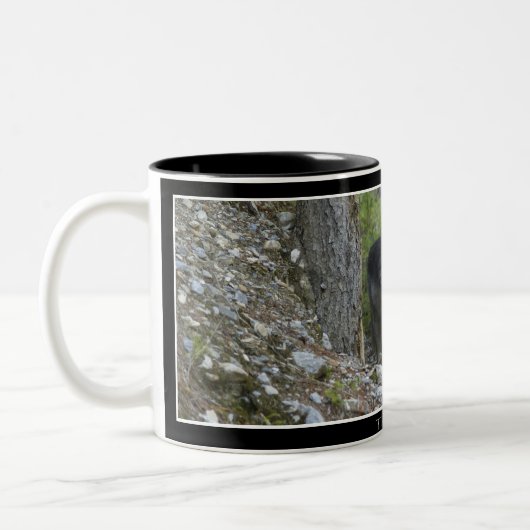 Stalking Gray Wolf & Forest Drink Tasse (Links)