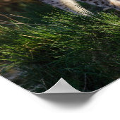 Stalking Lynx Poster (Ecke)