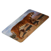 Stalking Tiger (von Rosa Bonheur) Magnet (Linke Seite)