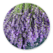 Stalks der Lavendel-Keramik Keramikknauf (Vorderseite)