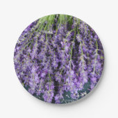 Stalks der Lavenderpapier-Teller Pappteller (Vorderseite)