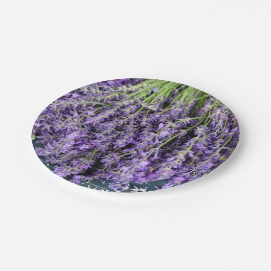 Stalks der Lavenderpapier-Teller Pappteller (Schrägansicht)