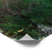 Stall 1899 poster (Ecke)