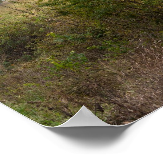 Stall auf einem Hügel Poster (Ecke)