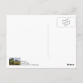 Stall auf einem Hügel Postkarte (Rückseite)