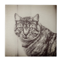 Stall Cat Sepia Brown Animals Keramik Tile