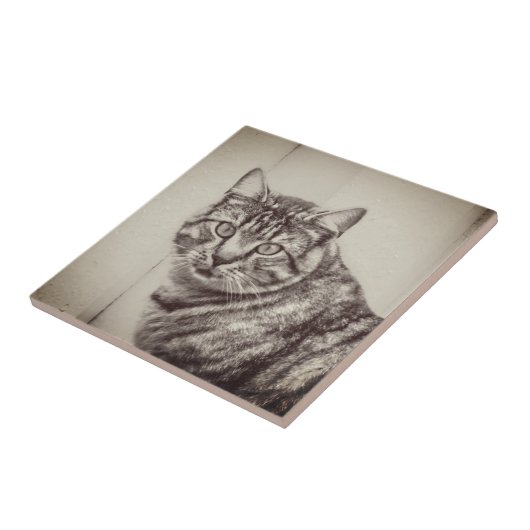 Stall Cat Sepia Brown Animals Keramik Tile Fliese (Seite)