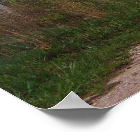 Stall E Poster (Ecke)