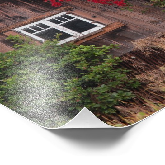 Stall Fotodruck (Ecke)