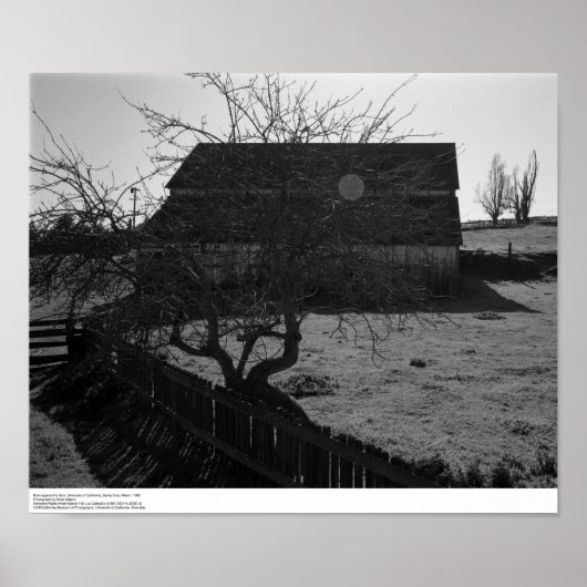 Stall, gegen die Sonne (Flare Spot), März 1962 Poster (Vorne)