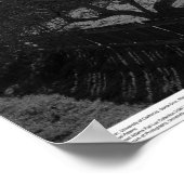 Stall, gegen die Sonne (Flare Spot), März 1962 Poster (Ecke)