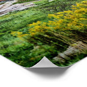 Stall im Herbst - PA Poster (Ecke)