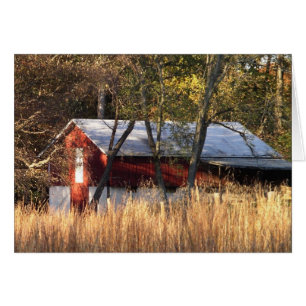 Stall im Zentrum von Maryland