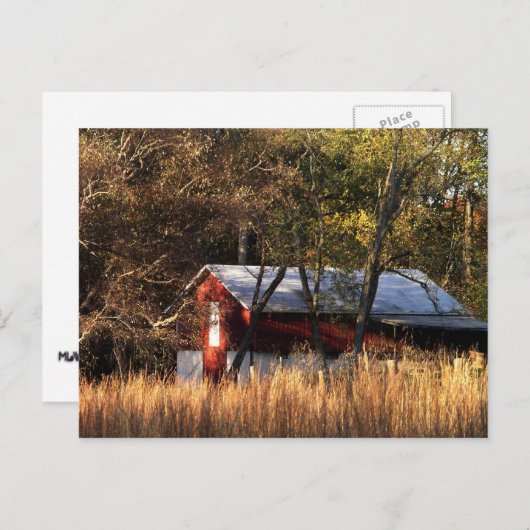 Stall im Zentrum von Maryland Postkarte (Vorne/Hinten)