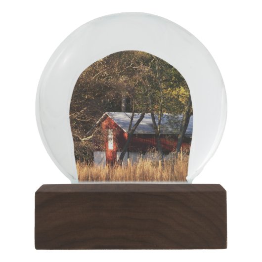 Stall im Zentrum von Maryland Schneekugel (Vorderseite)