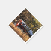 Stall im Zentrum von Maryland Serviette (Ecke)