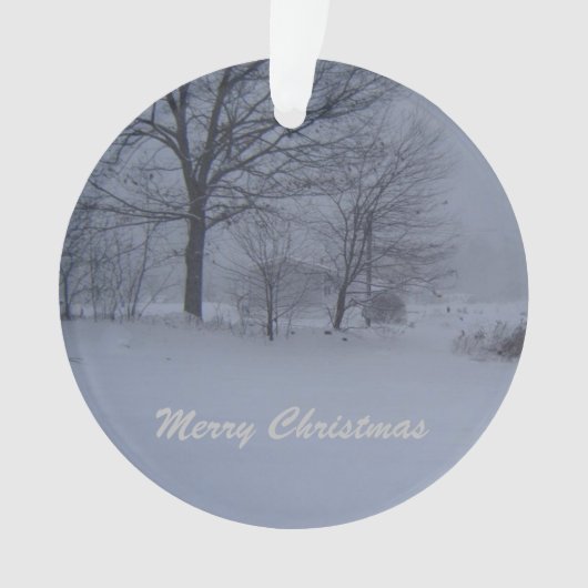 Stall in Maine Blizzard Ornament (Vorderseite)