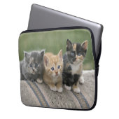 Stall Kätzchen auf einem Pferd Blanket Laptopschutzhülle (Vorderseite Links)