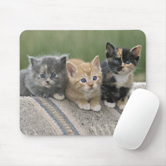 Stall Kätzchen auf einem Pferd Blanket Mousepad (Mit Mouse)