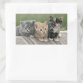 Stall Kätzchen auf einem Pferd Blanket Rechteckiger Aufkleber (Tasche)