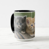 Stall Kätzchen auf einem Pferd Blanket Tasse (Vorderseite Links)