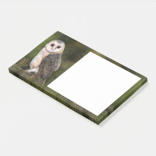 Stall Ow Sticky Notes Post-it Klebezettel