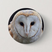 Stall Owl Abzeichen Button (Vorderseite)