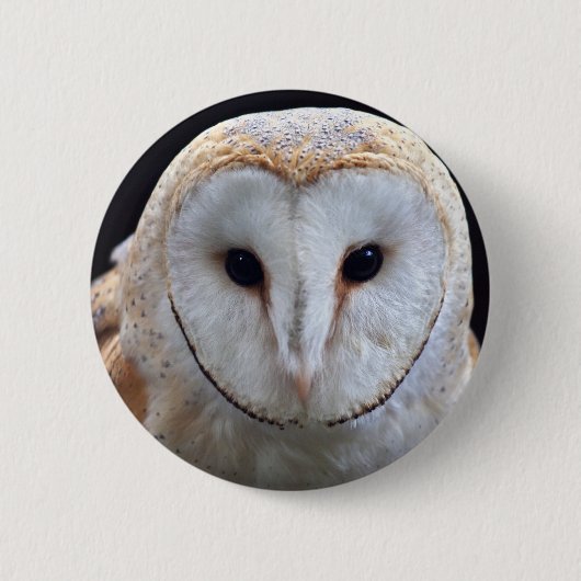 Stall Owl Abzeichen Button (Vorderseite)