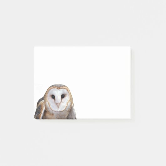 Stall Owl Foto 4x3 Postit Notes Stationery Post-it Klebezettel (Vorderseite)